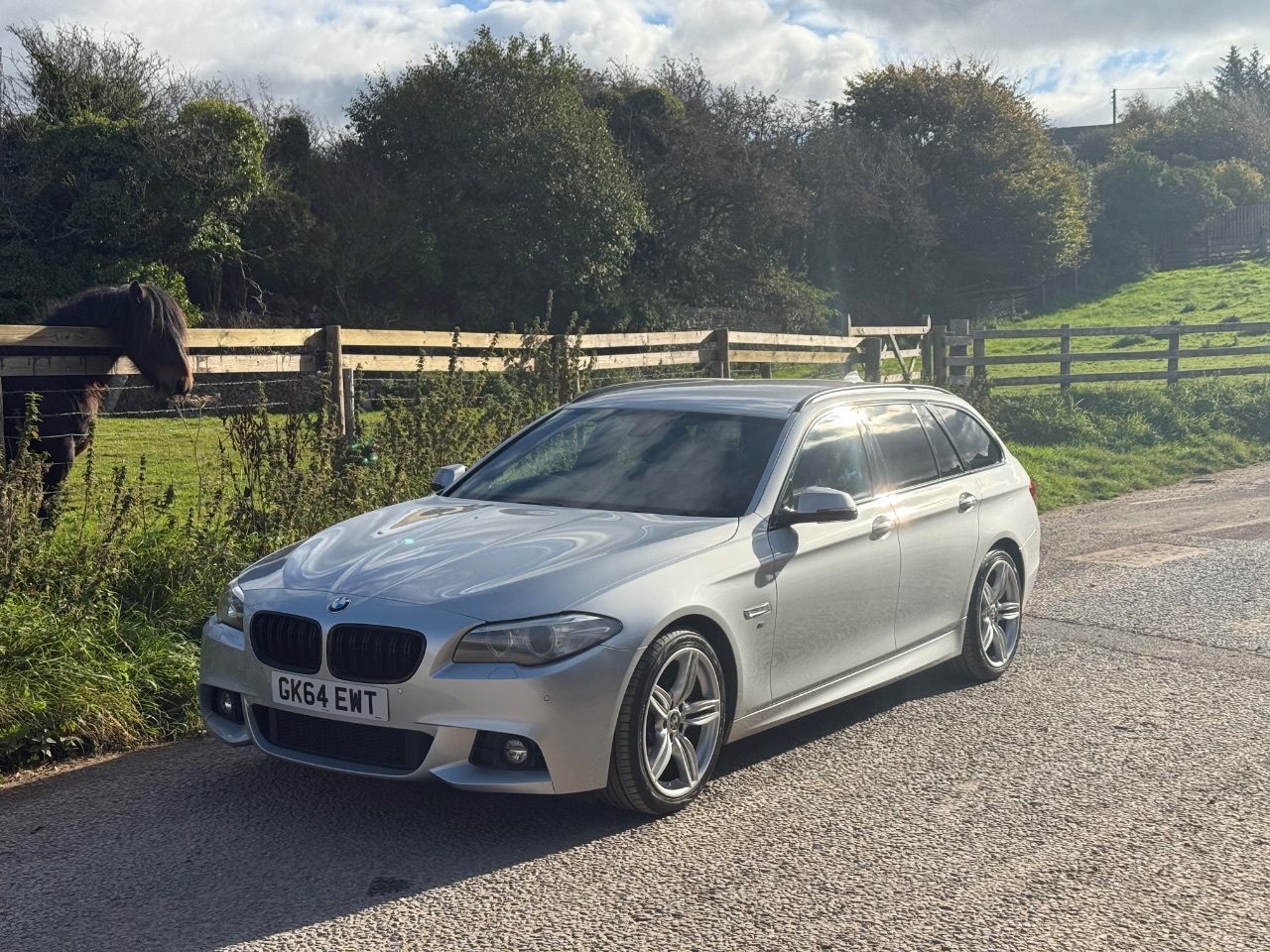 2014 BMW 5 Series