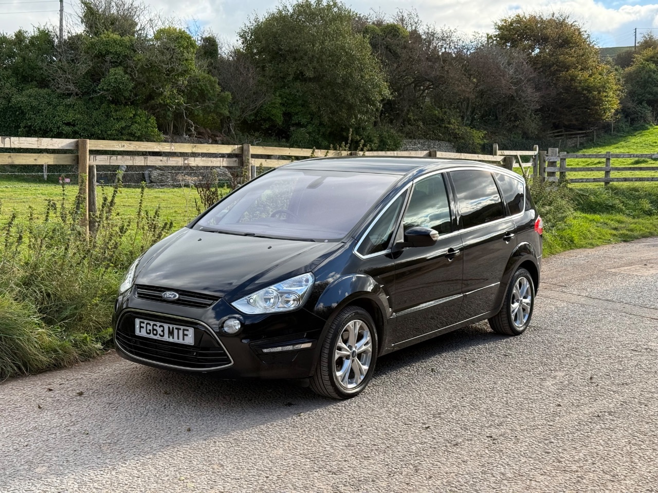 2013 Ford S-MAX