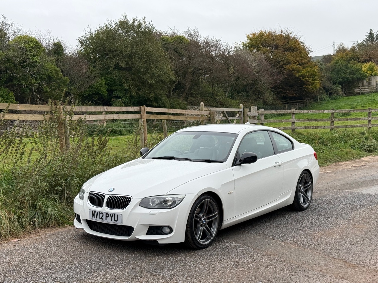 2012 BMW 3 Series