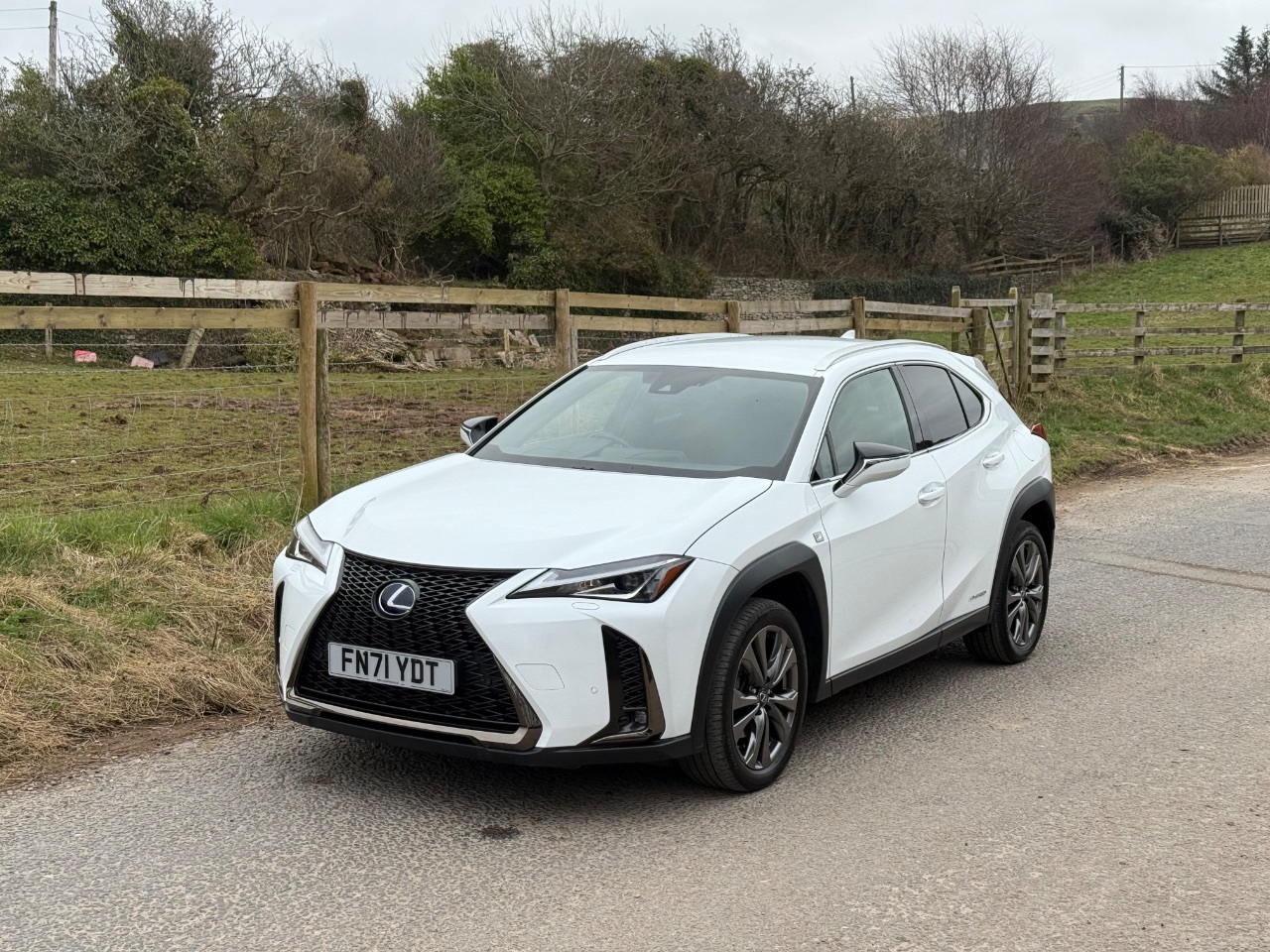 2021 Lexus Ux